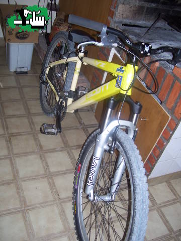 Fraccarito