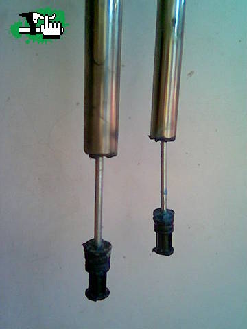RST T7