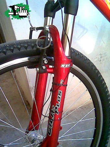 RST T7
