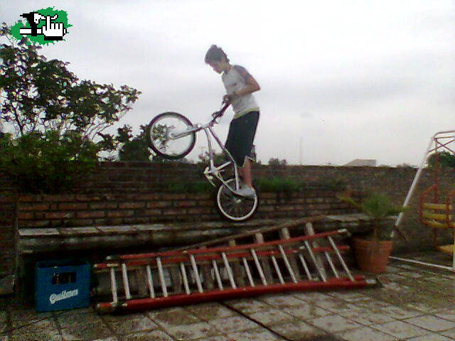 trial f4