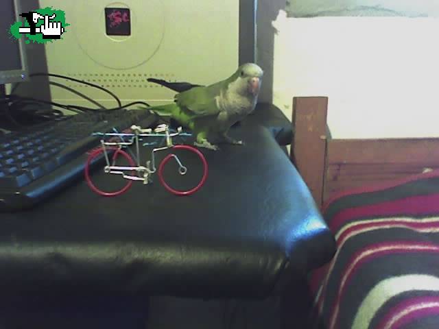 VENGADOR Y SU BICI !!!!!