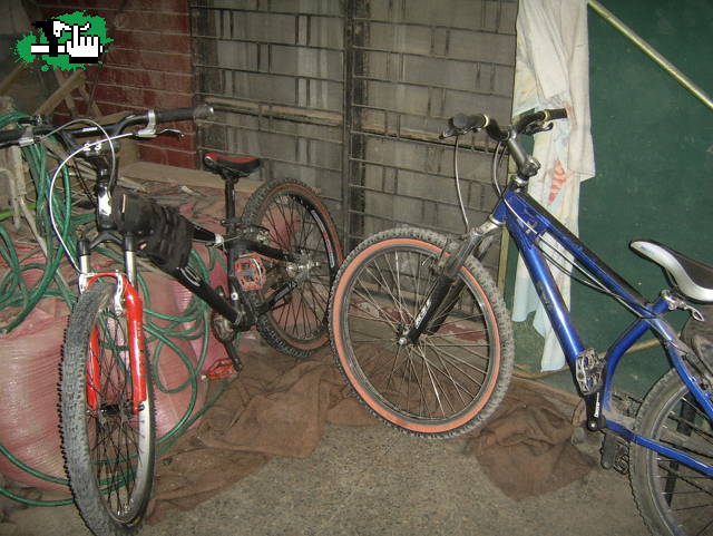 bikes