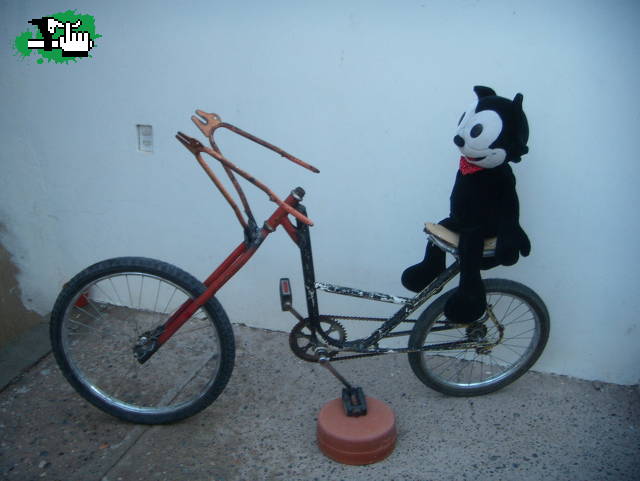 Felix sigue creando
