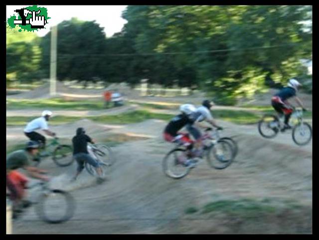 Palo en 4x