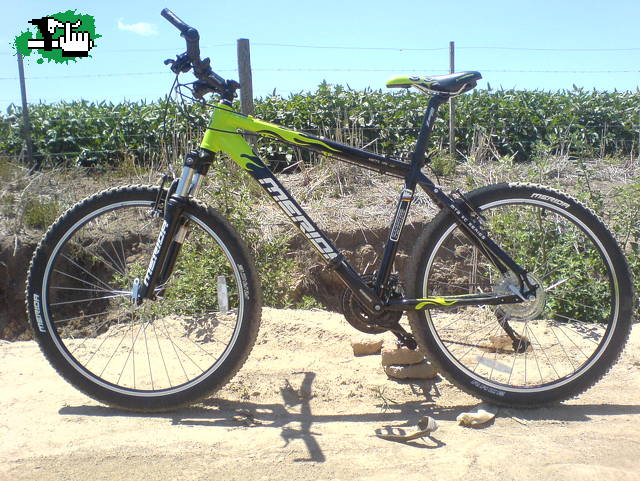 Armadita y rodando