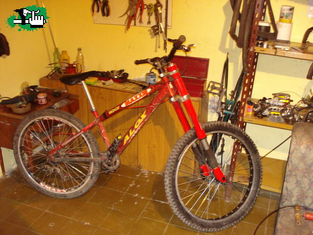 mazanita