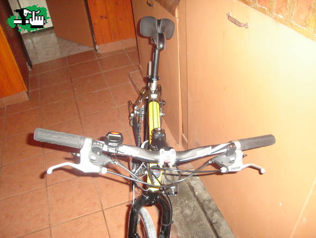 nenaaaaa scott