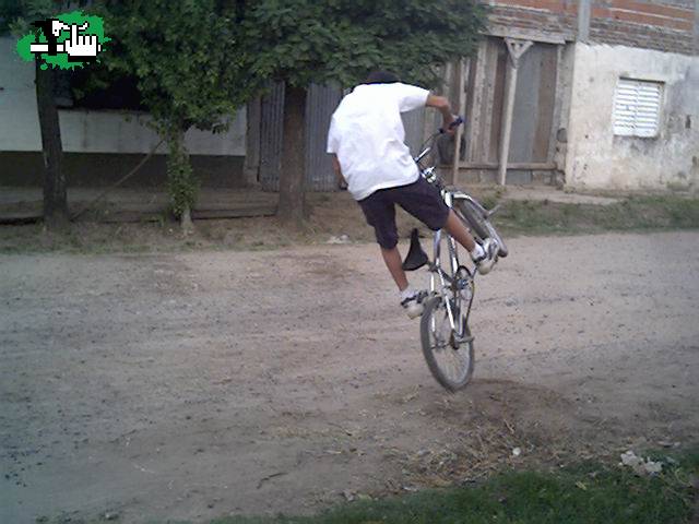 que opinan