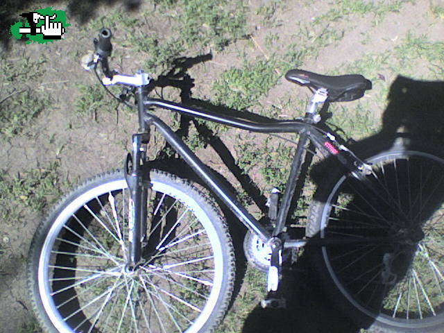 despues de un palo 