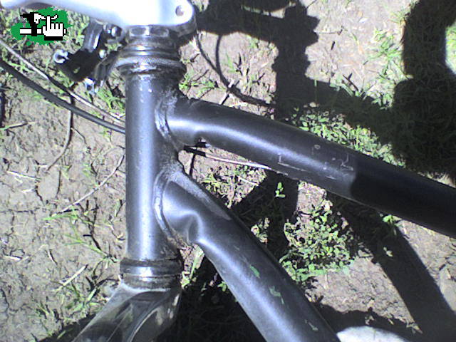 despues de un palo 
