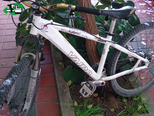 Wasabi 2008