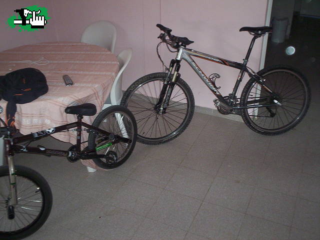 mis nenas