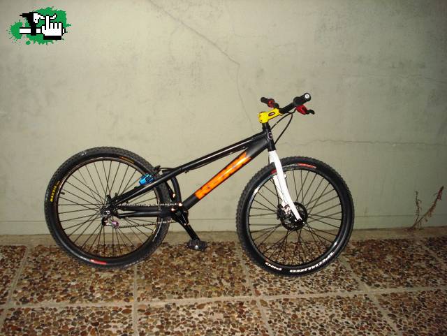un koxx con toda la pinta