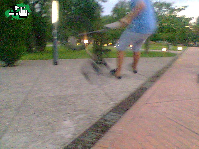 whip