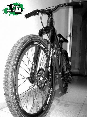 GIANT