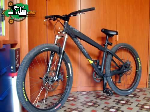 SPECIALIZED