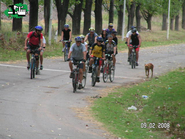 PERRO GUÌA