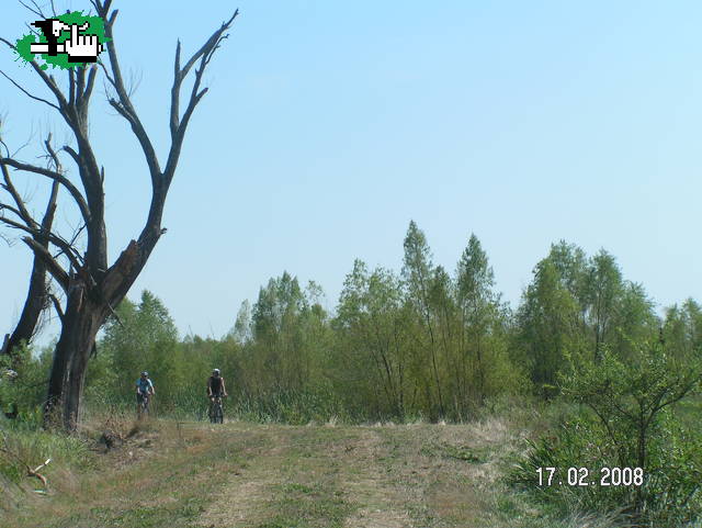 El calor quemò el arbol...