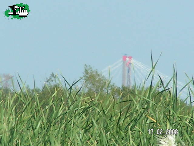 El puente dde el Delta