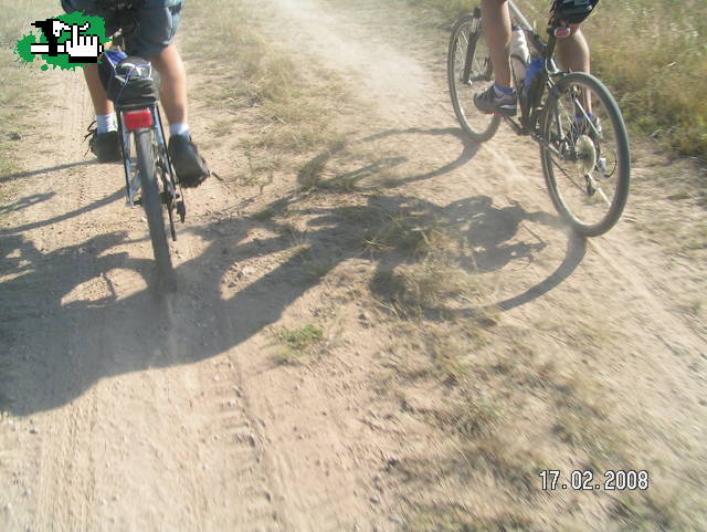 Son casi sombras..