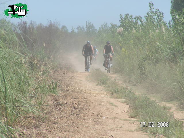 Pasto y polvo
