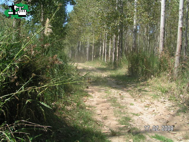 Caminos para pedalear hay muchos...
