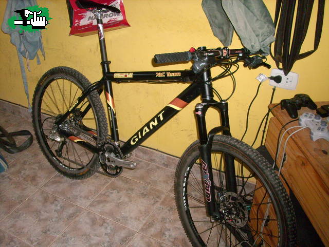 la nueva mimada