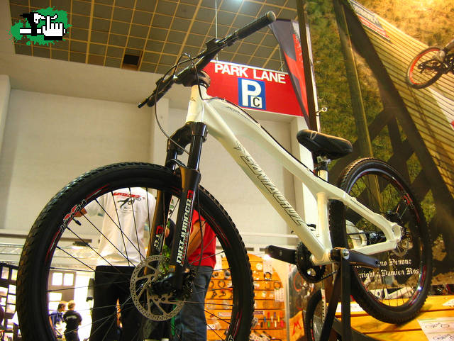 Santa Cruz jackal
