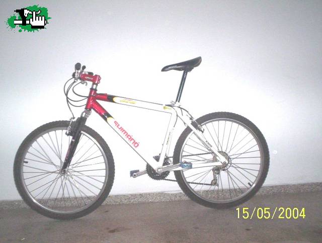 mi primer amor