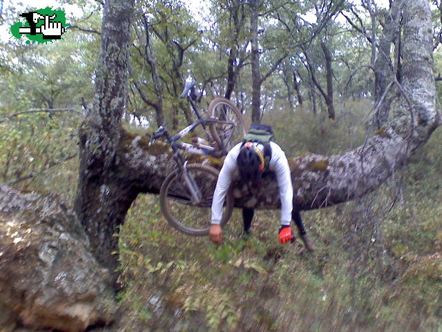 El abuelo