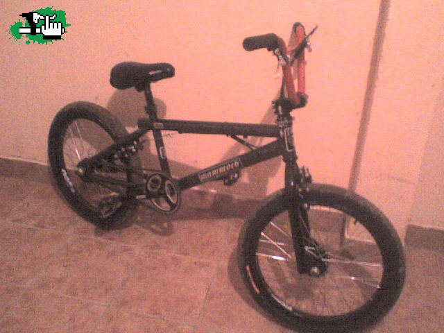 mi nueva MAMMOTH EGG MOD 2008