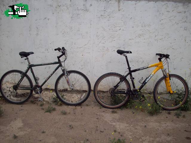 evolucion
