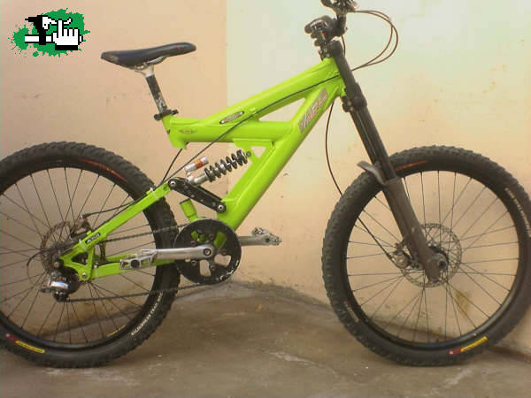 Aceituna DH