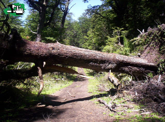 correnntoso por el camino viejo