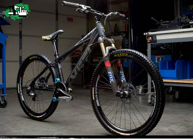 yeti