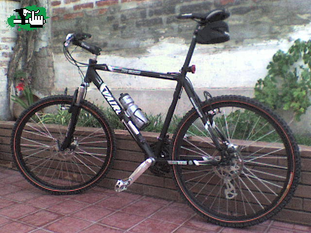 danilo08