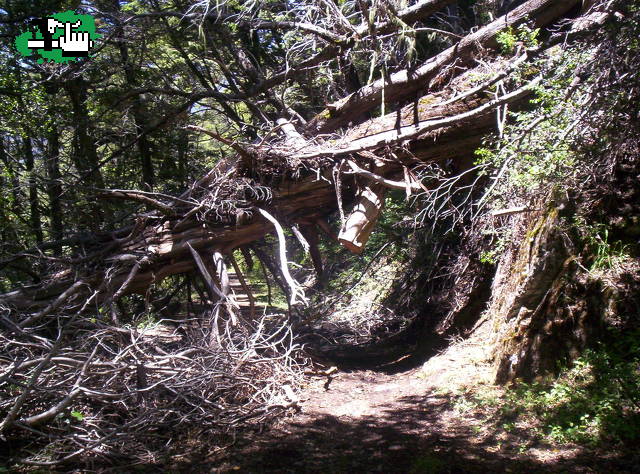 segunda parte camino viejo correntoso