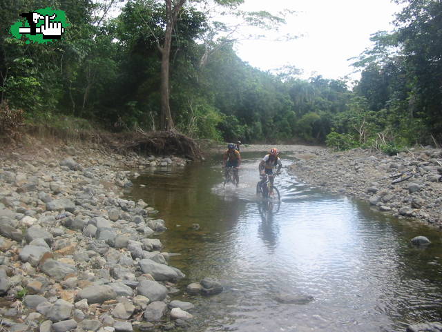 DMR_en accion