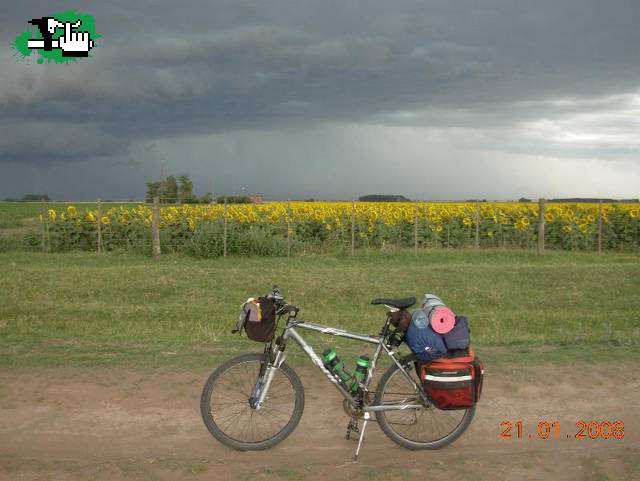 Tormenta Perfecta