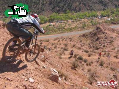 red bull cedric gracia