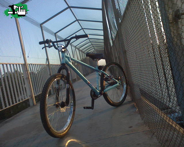 Mi bici