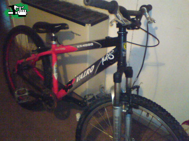 mi bici!