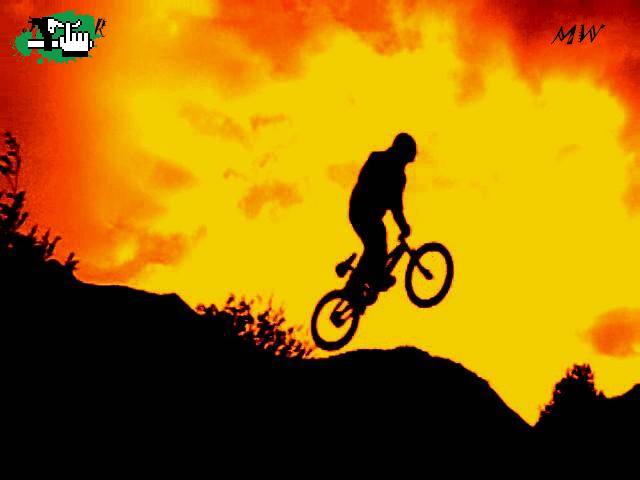 bmx