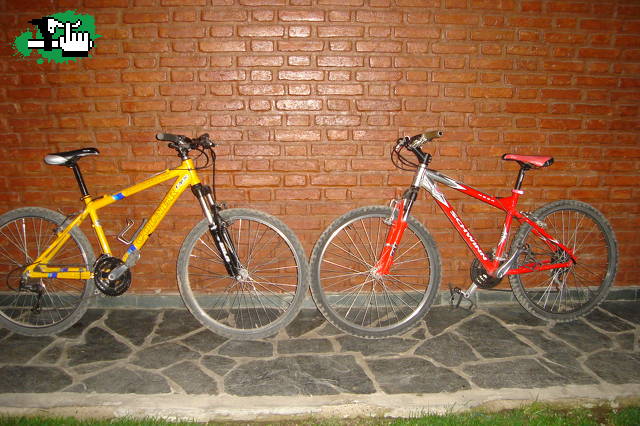 las chiks de la cuadra