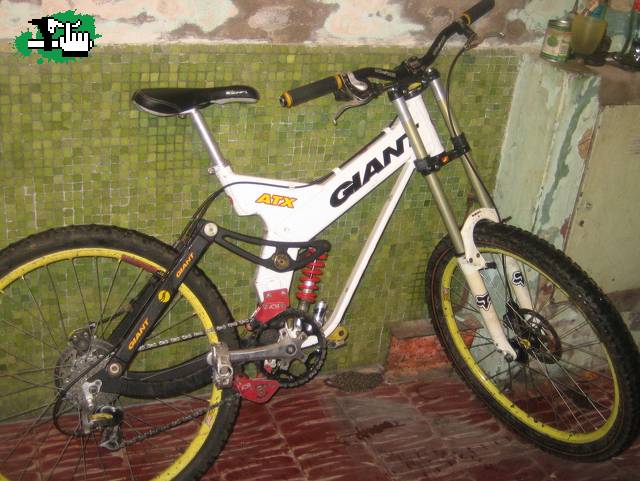 giant dh