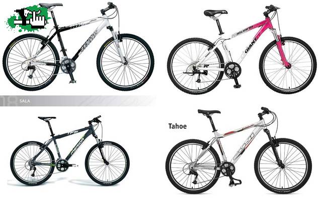 Que opinan:  Zenith / Merida / Giant / Fuji