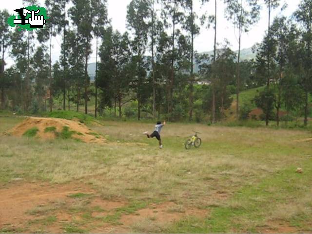 su bici le abandono