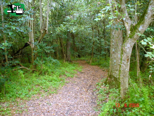 Los tres chiflados del pedal: Parque Pereyra Iraola
