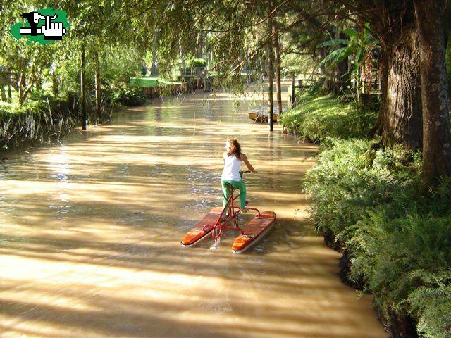 Tigre y Delta 