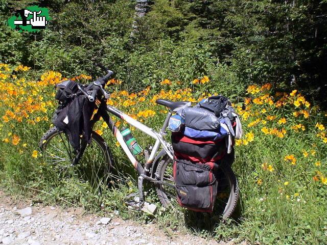 Mi compañera fiel en la ruta...